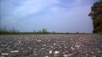 Ansmann Macnum VXL with Rustler bag (Part 1)