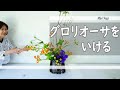 【生け花】_グロリオーサで賑やかなお花に_いけこみ動画_Sogetsu Ikebana