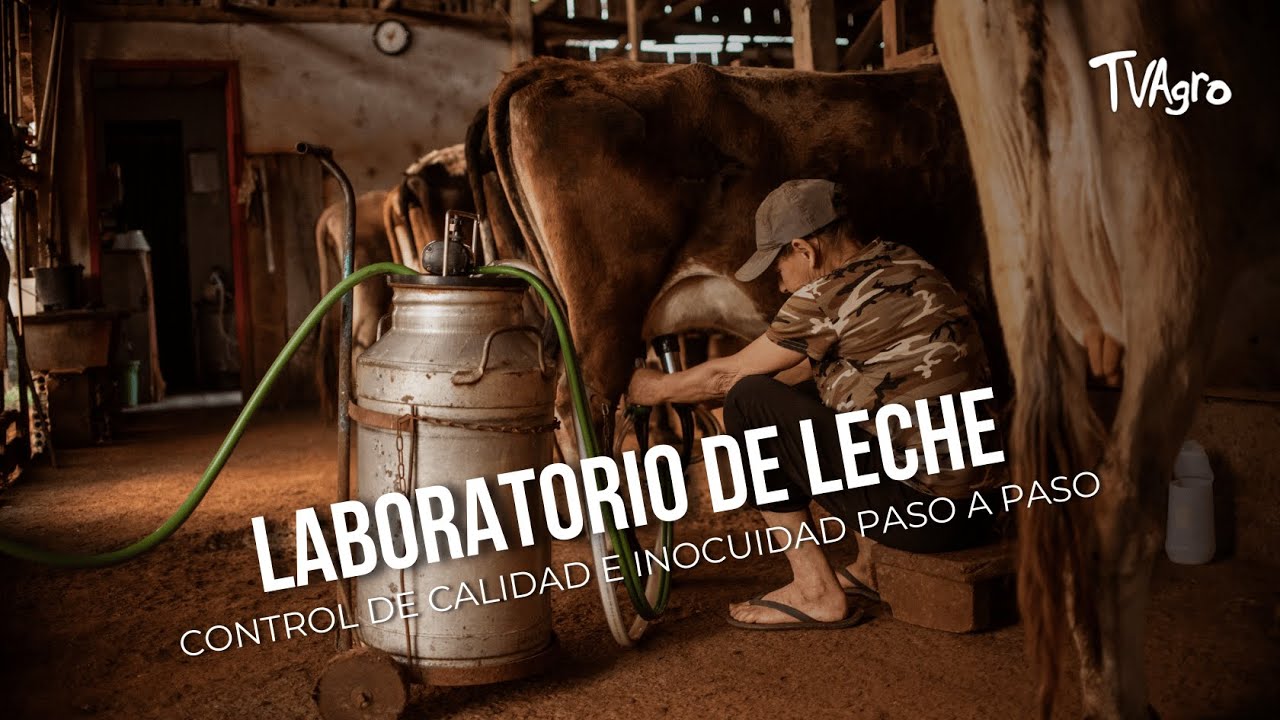 Laboratorio de leche: control de calidad e inocuidad paso a paso