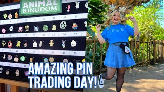 AMAZING Pin Trading Day in Animal Kingdom | Pin Board Finds!