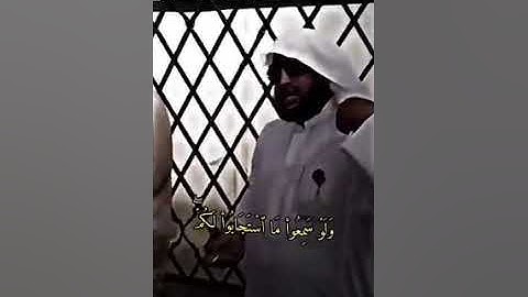 قال الله وتعالى سورة فاطر والذين تدعون من دونه ما يملكون من قطمير