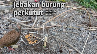 cara membuat jebakan burung perkutut yang mudah