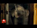 Nanny McPhee Returns (2010) - Sharing a Bed with Animals Scene | Movieclips