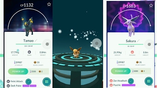 New Eevee Evolution In Pokemon Go Gen 2 Update Umbreon Espeon
