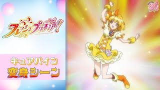 誕生日 キュアパイン 山吹 祈里 プリキュア フレッシュプリキュア
