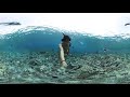 360°Hawaiʻi〜マウイ島 モロキニ島 シュノーケリング
