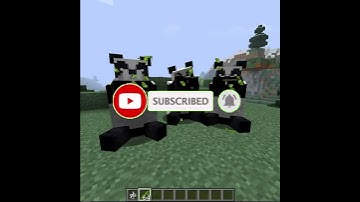 Hungry Pandas | Things you probably didn