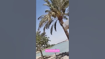 قران كريم بصوت عامر الكاظمي #المصحف #اكسبلور #الرحمن #لايك #الظروف #تيك_توك #النظافه #duet #ترند