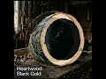 लाल चंदन से भी 10 गुना महंगी है ये लकड़ी | World's Most Expensive Wood: African Blackwood &amp; Agarwood