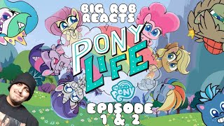 (REDIRECT) Big Rob Reacts: MLP-Pony Life Episode 1 & 2