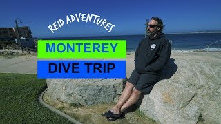 Diving Monterey California Metridium Fields (2019) || Reid Adventures Ep. 5