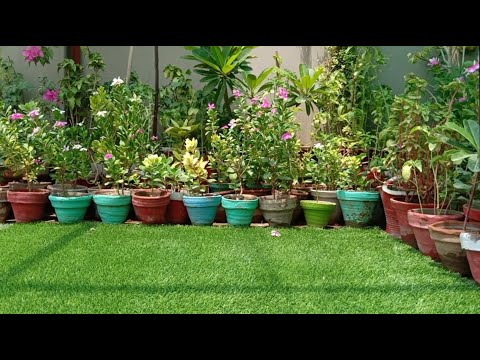 Several ways to decorate your home with artificial grass with its care and tips..... in Urdu