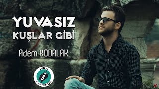 Adem KODALAK - Yuvasız Kuşlar Gibi [2020] Resimi