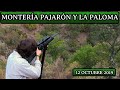 MONTERÍA PAJARON Y LA PALOMA 2019 | Villaviciosa de Córdoba