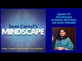 Mindscape 170 | Priya Natarajan on Galaxies, Black Holes, and Cosmic Anomalies