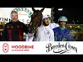 2019 Breeders Crown Final: Open Mare Pace  Woodbine At ...