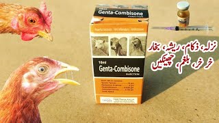 Genta-Combisone injection for Chickens, Poultry Birds and Large Animals | Dr. ARSHAD