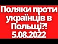 Поляки хочуть, щоб українці поверталися до дому?!