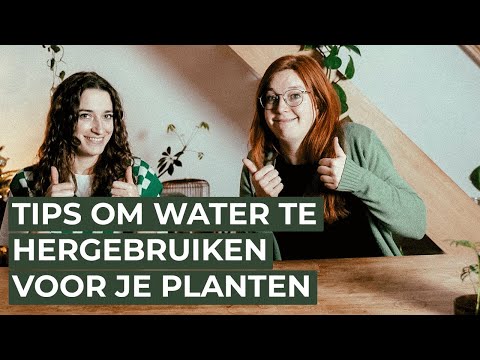 Video: Wat om te doen wanneer water uit vistenk verdamp?