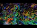 Fractal Alchemist VR: Viewing a Photo Album