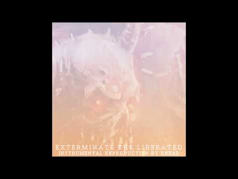 Acrania - Exterminate the Liberated (instrumental cover by bread)