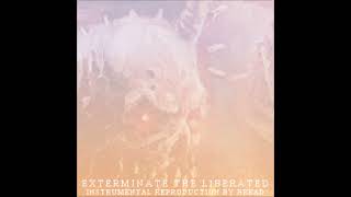 Acrania - Exterminate the Liberated (instrumental cover by bread)