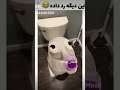 این چه کاریه خوووب میم خنده دار گیم فرشاد سایلنت تتلو  آریانا سعید آریا کئوکسر