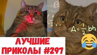 Красиво и пидорасов нет. Долбаный вторник. Лучшие приколы за сегодня #297