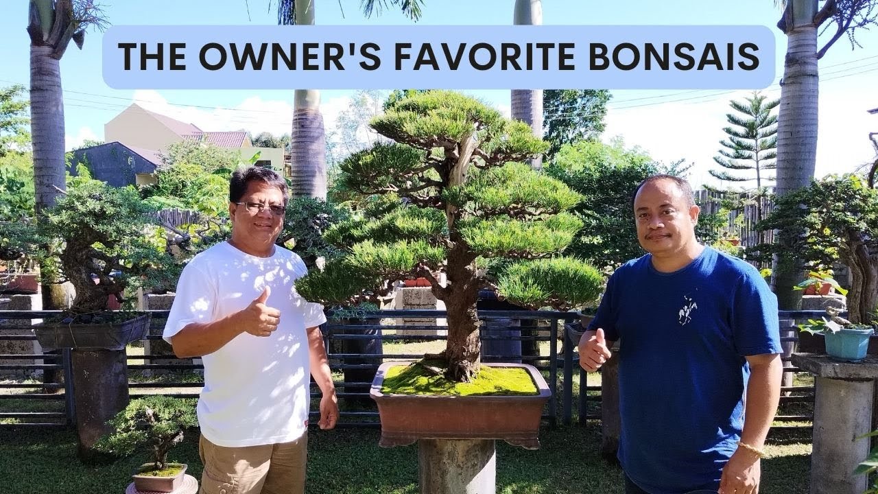 Bonsai Garden Visit #44 - At Ravenal Mendoza's Place Part #2 [w/ English Subtitles]