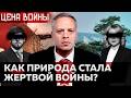 Деэкологизация России с началом войны. Разгром экоактивистов и уничтожение природы олигархами