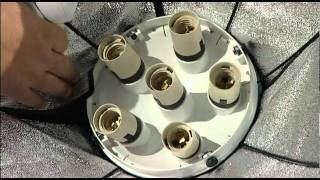 Interfit Coolite 6