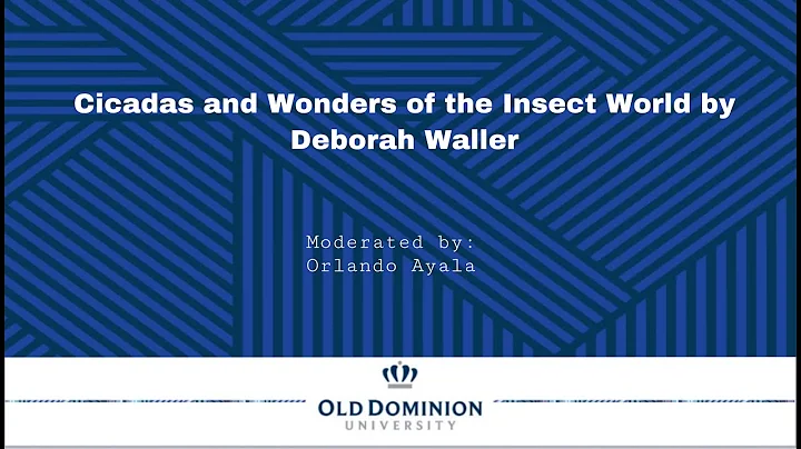REYES 2021 - DAY3 - Cicadas and Wonders of the Ins...