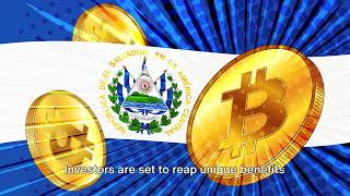 "iFinex Partners El Salvador for Crypto Laws, $6.25M Venture" Net Worth