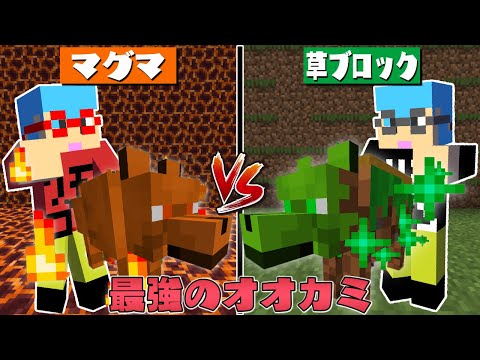 【マイクラ】最強のオオカミを使って対決！？ガチャガチャから出たアイテムでPVPガチバトル！