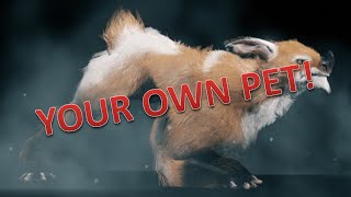 How to Get Your own Kubrow Pet in Warframe!! PS4/Xbox One/PC HD Tutorial