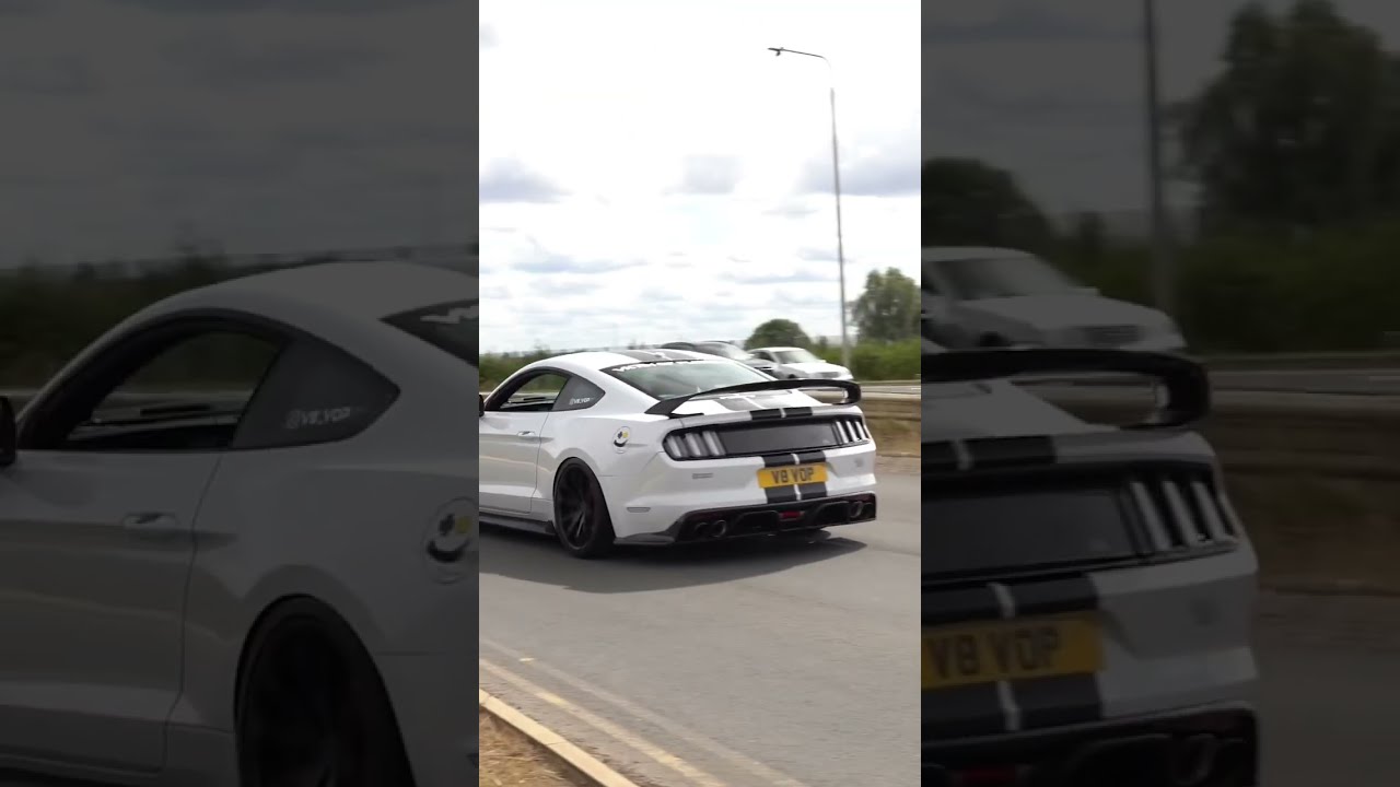 Insanely Loud Ford Mustang GT Full Send V8 Sound Shorts Mustanggt
