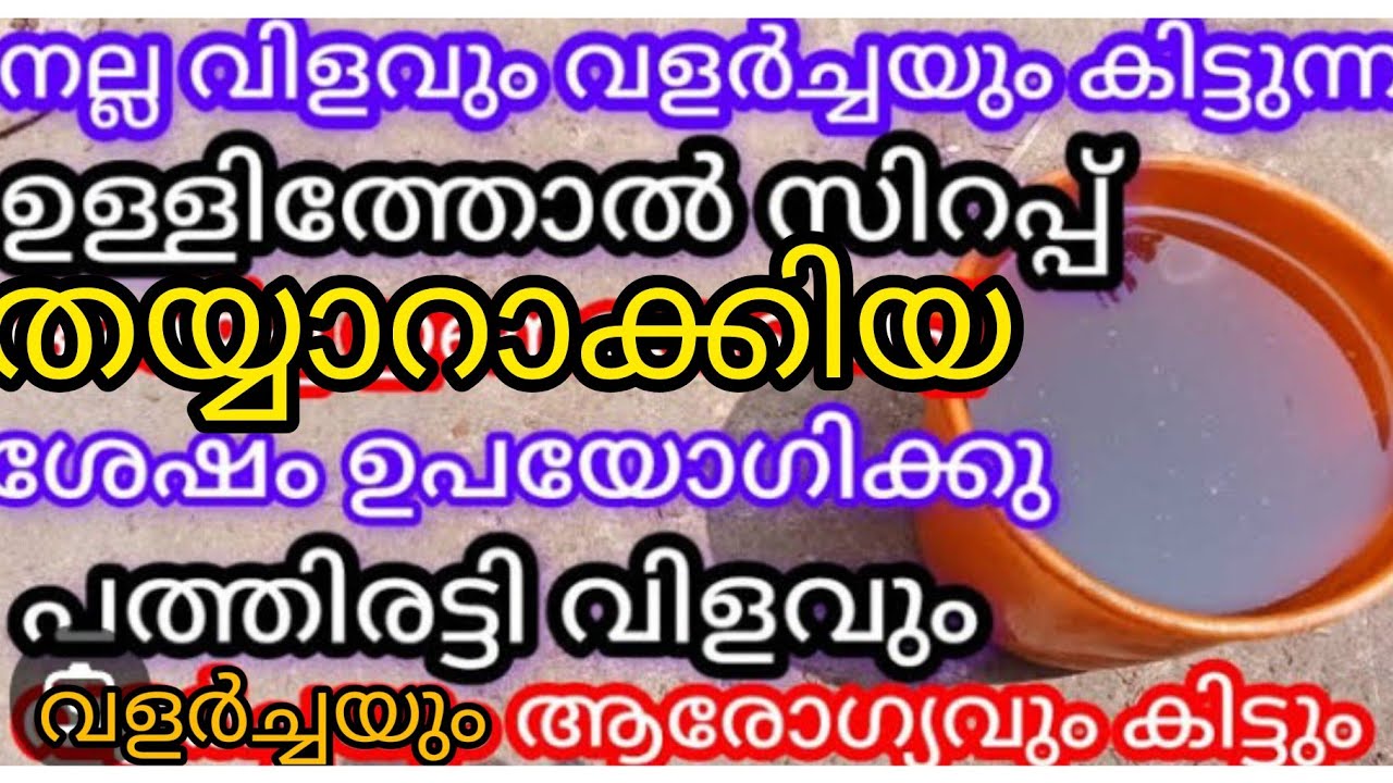 #Krishi#ഉള്ളിത്തോൽ ഇനി കളയരുതേ കിടിലൻ വളം ഉണ്ടാക്കാം ഞൊടിയിടയിൽ#agricultural tips#viral#ammoosanoos 