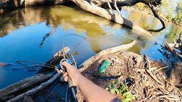 First Cast to the Last, HUGE Murray Cod and Big Surface Fishing Strikes