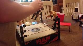 Semi-finals of the WBG king of the ring round 1