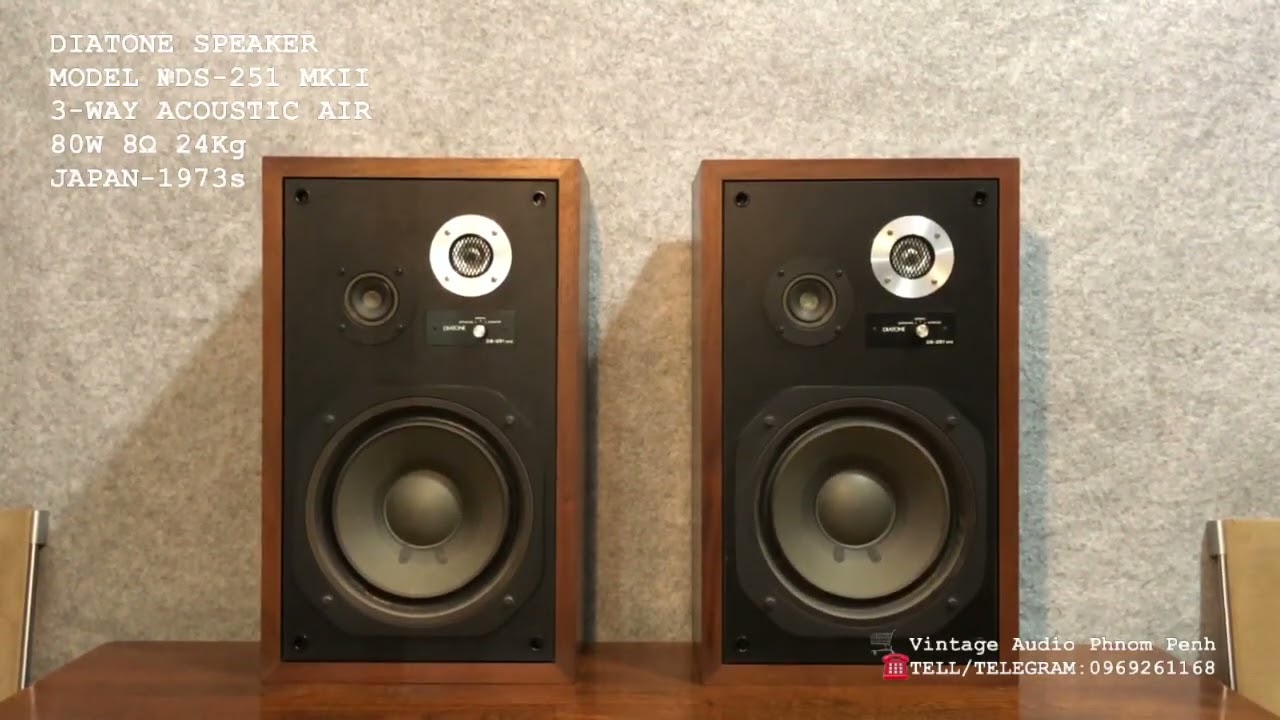 DIATONE SPEAKER MODEL №DS-251