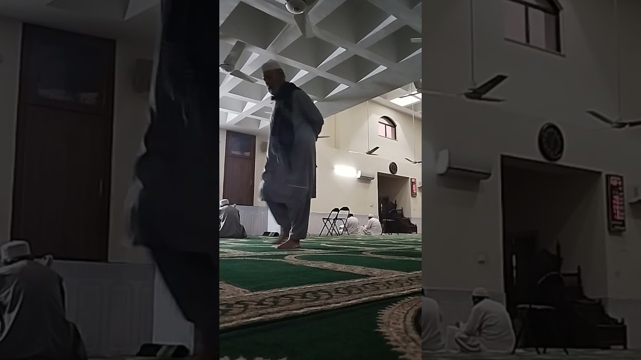 HORTICULTURE AND GARDENING |   