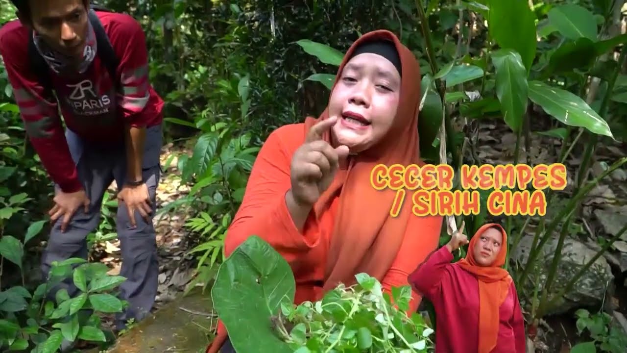 Mengolah Cecer Kempes Alias Sirih Cina | ENAH BIKIN ENAK (20/09/22) Part 4