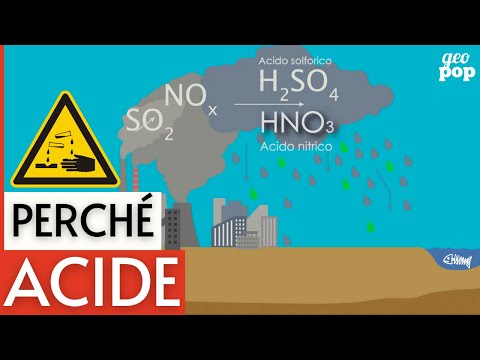 Video: Quali sono gli effetti negativi delle piogge acide?