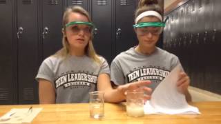 Enzyme Catalysis Lab