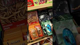 Trying Edible Insects: Crickets, Worms, #FoodTasting #ExoticFoods #InsectProtein