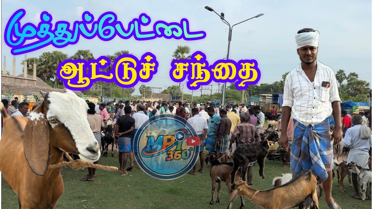 Muthupettai Aatu Santhai (ஆட்டுச் சந்தை)