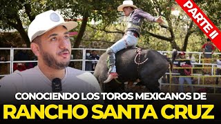 Puro Toro Mexicano tiene Rancho Santa Cruz de los Hermanos Bernal