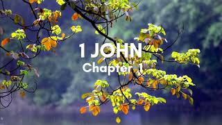 1 John Chapter 1 - English Standard Version ESV Audio Bible