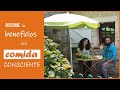 COMIDA CONSCIENTE  - Mindfulness, Reducir Estrés, Eliminar la Ansiedad y Relajarse