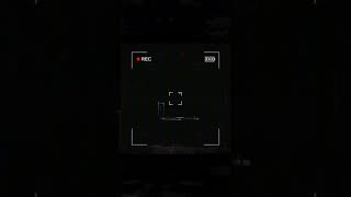Content Warning: Found Footage Experiment.